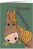 Birthday-Happy Birth’HAY’ Horse card