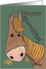 Birthday-Happy Birth’HAY’ Horse card