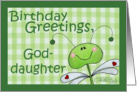 Birthday for Goddaughter-Dragonfly Gingham card