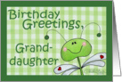 Birthday for Granddaughter-Dragonfly Gingham card
