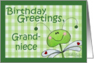 Birthday for Grandniece-Dragonfly Gingham card