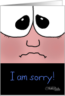 Apology, Sorry Face