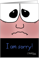 Apology, Sorry Face card