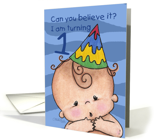 Birthday Invitation 1st Birthday for Baby Boy Can you Believe It card