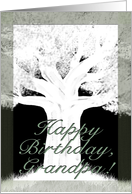Tree Silhouette-Birthday for Grandpa card