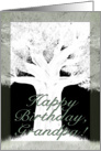 Tree Silhouette-Birthday for Grandpa card