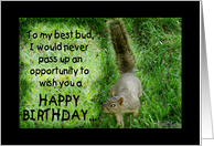 Squirrel Humorous Happy Birthday for Best Friend card