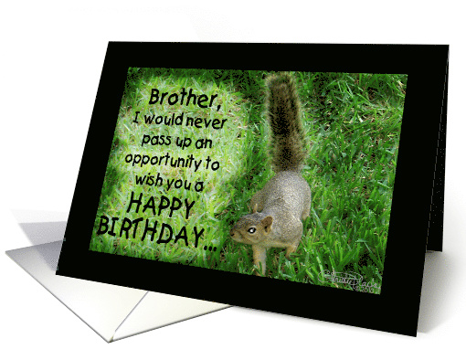 Squirrel Humorous Happy Birthday for Brother card (661479)