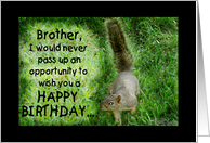 Squirrel Humorous Happy Birthday for Brother card