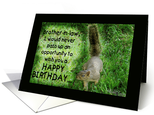 Squirrel Humorous Happy Birthday for Brother in Law... (661481)