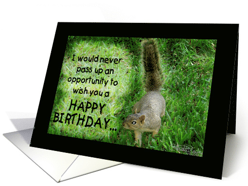 Squirrel Humorous Happy Birthday You are the Nuttiest card (661486)