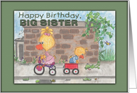 Happy Birthday for Big Sister from Brother Boy and Girl Ducks card