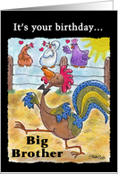 Birthday for Big Brother-Rooster Struts through the Barnyard card