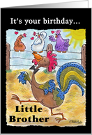 Birthday for Little Brother -Rooster Struts through the Barnyard card