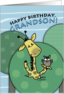 Birthday for Grandson- Giraffe and Owl Shout from the Treetops card