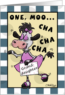 Happy Birthday Granddaughter- Dancing Cow-Muchacha card