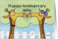 Happy Anniversary to Wife- Kissing Giraffes card