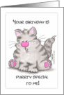 Chubby Gray Tabby Purrty Special Birthday card