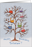 Birthday for Sister-Owls in Snowy Tree card