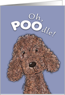 Get Well Humorous Poodle Pun Oh Poodle card