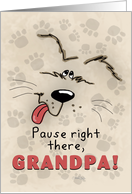 Happy Birthday to Grandpa Dog and Paw Prints card