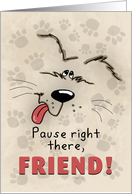 Happy Birthday to Friend Dog and Paw Prints card