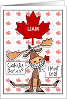 Personalized Name Canada Day Liam Funny Grinning Moose Maple Leaf card