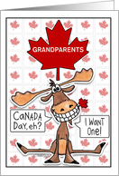 Customizable Canada Day Grandparents Funny Grinning Moose Maple Leaf card