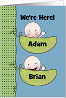 Custom Birth Announcement Twin Boys-Peapod Babies for light skin card