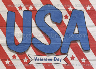 Veterans Day- Stars...