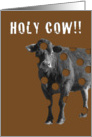 Holy Cow Graduate card