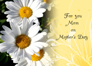 Mom Mother's Day...
