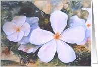 Tropical Natives White Blooms card
