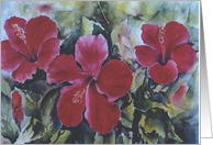 Tropical Greetings Hibiscus Red Blank Note card