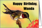 Hummingbird Happy Birthday Card Wanda card
