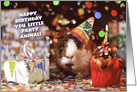 Guinea Pig Humor Birthday card