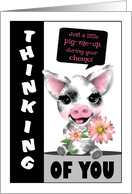 Spotted Pig Chemo Patients Thinking of You card