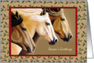 Horse Trio Christmas Cards