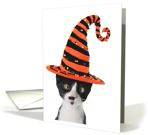 Kitty Cat Witch Happy Halloween card (1191658)