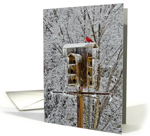 Red Cardinal Birdhouse Winter Landscape Note card (1362396)