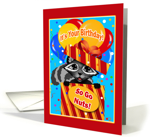 Raccoon in Gift Happy Birthday card (1375702)