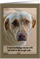 Getting Older Dog Birthday Humor card