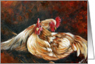 Chickens, Roosters Blank Note Cards