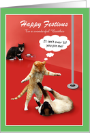 Custom Cat Humor Happy Festivus card