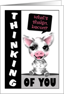 Spotted Pig Thinking of You card