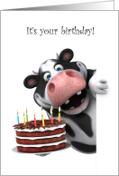 Cow Humor Birthday