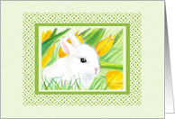 In My Garden Easter Spring Bunny Rabbit Card