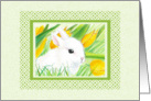 In My Garden Easter Spring Bunny Rabbit Card