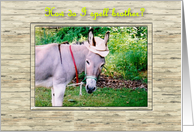 Brother Humor Donkey card