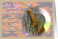 Squirrel Humor Anniversary Card